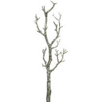 Λουλούδια-Κλαδιά-Φτέρες