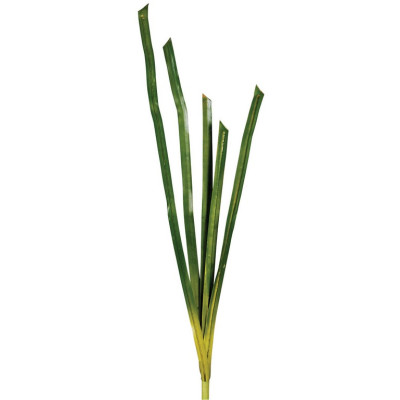 Φύλλα Μπουκέτο 122cm