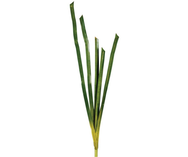 Φύλλα Μπουκέτο 122cm