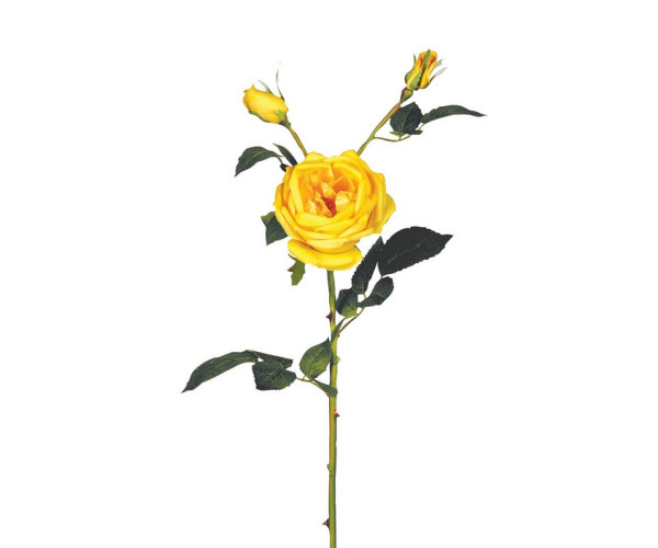 Real Touch Λουλούδι Τριαντάφυλλο 72cm