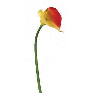 Μεταξωτό Λουλούδι Κάλλα - Μικρή 65cm
