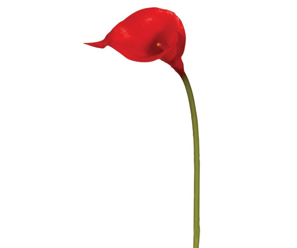 Real Touch Λουλούδι Κάλλα - Μίνι 32cm