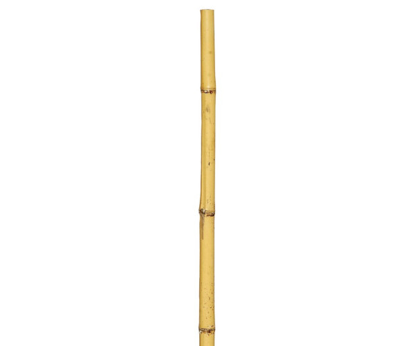 Μπαμπού Βέργες Στήριξης Φυτών 150(h)cm , Ø 10-12mm ,Σετ 6 Τεμαχίων Μπαμπού Βέργες Στήριξης Φυτών 150(h)cm , Ø 10-12mm ,Σετ 6 Τεμαχίων