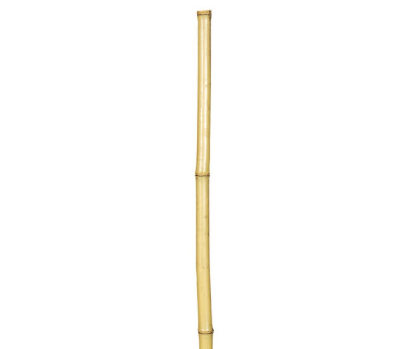 Μπαμπού Βέργες Στήριξης Φυτών 120(h)cm , Ø 12-14mm Μπαμπού Βέργες Στήριξης Φυτών 120(h)cm , Ø 12-14mm