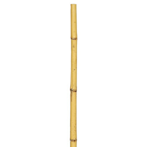 Μπαμπού Βέργες Στήριξης Φυτών 150(h)cm , Ø 16-18mm 