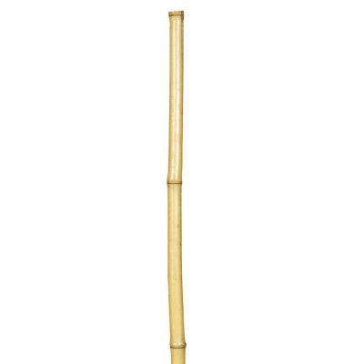 Μπαμπού Βέργες Στήριξης Φυτών 270(h)cm , Ø 20-22mm 