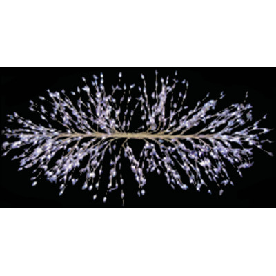 Φωτιζόμενη Led Γιρλάντα Με Μετασχηματιστή 24V, 200 x 90cm,