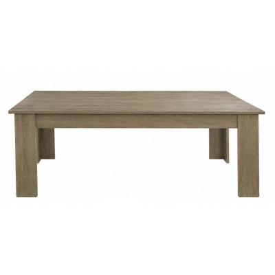 VELCO Pro Systems ΤΡΑΠΕΖΙ ΣΑΛΟΝΙΟΥ 120x60x45 εκ  ΣΦΕΝΔΑΜΟΣ