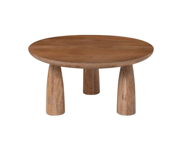 AZTEC Τραπεζάκι Σαλονιού- Καθιστικού, Ξύλο Mango, Απόχρωση Smoke Walnut